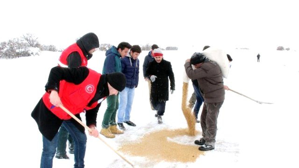 Yozgat\'ta Gençler Yaban Hayvanları İçin Doğaya Yem Bıraktı
