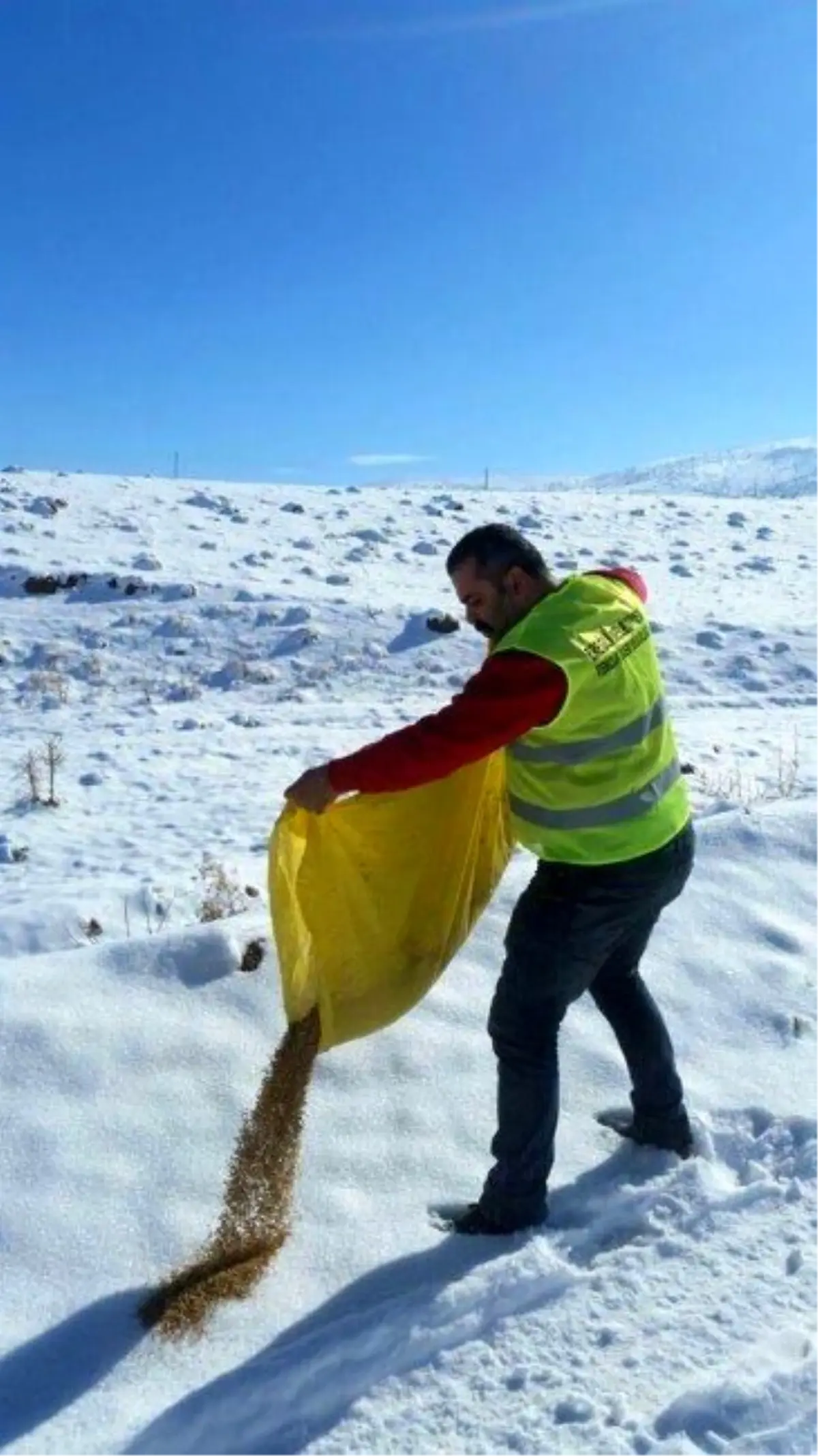 Ereğli Belediyesi Yaban Hayvanları İçin Yem Bıraktı