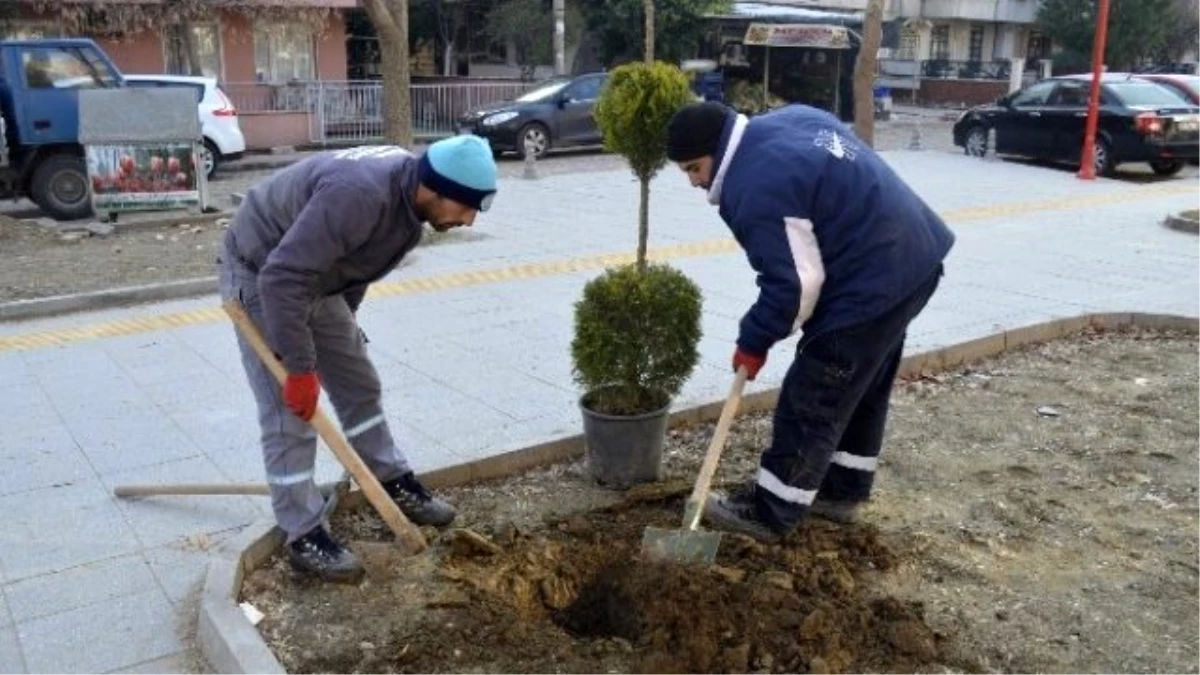 Gardalya Cumhuriyet Mahallesinin Gözdesi Oldu