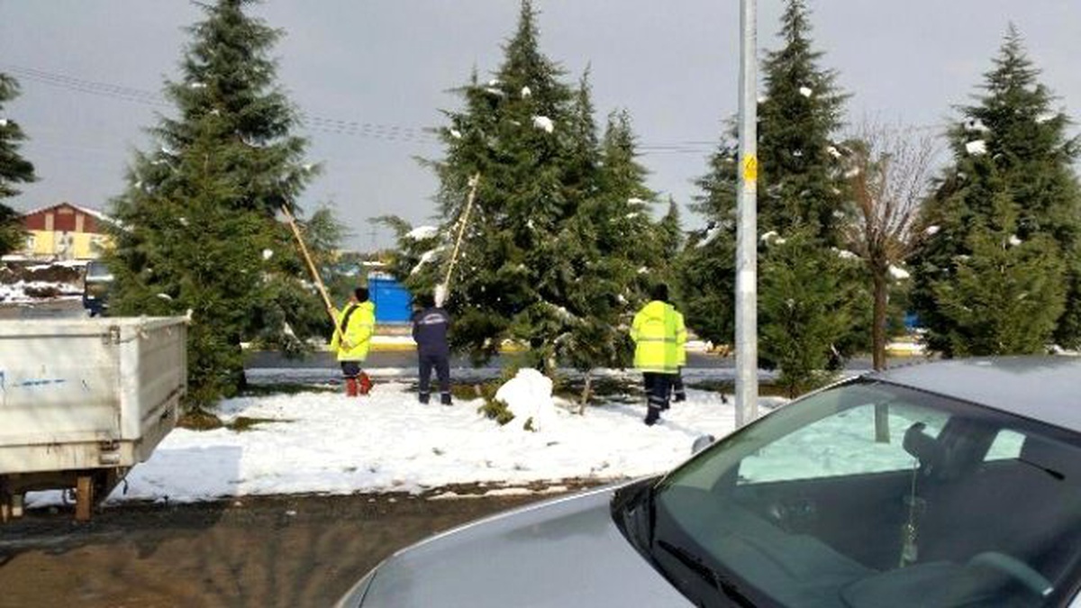 Kartepe\'de Ağaçlar Kardan Korunuyor