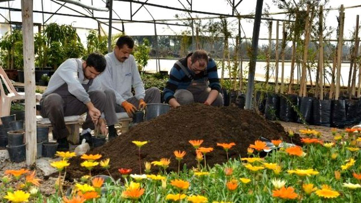 Konyaaltı Belediyesi, Sera Sayısını Artırıyor