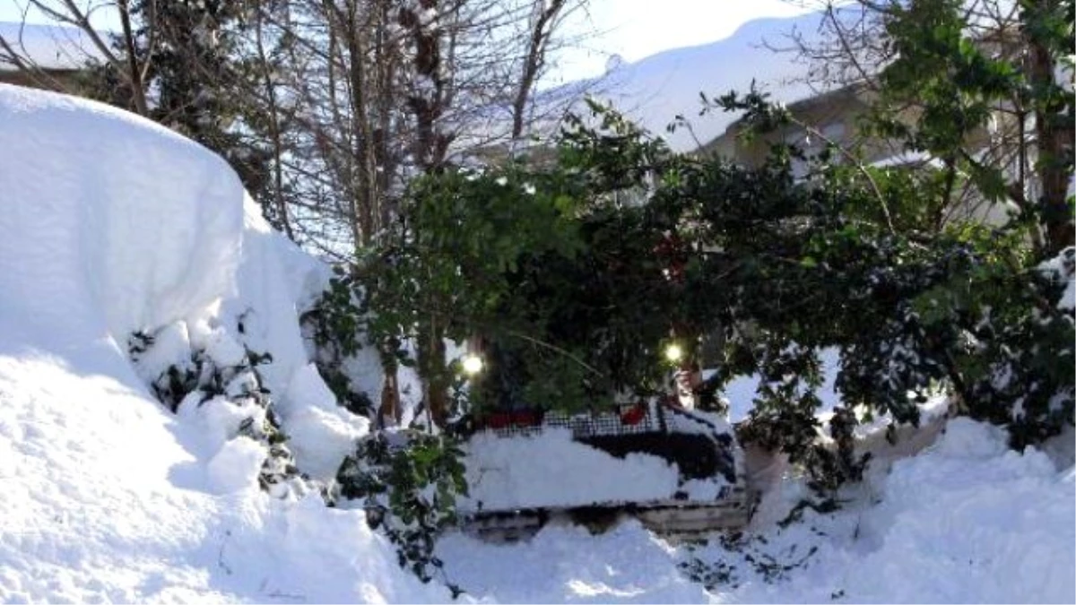Rize\'de Kar Esareti; Hasta Paletli Ambulansla Kurtarıldı, Heyelanda 25 Küçükbaş Hayvan Telef Oldu