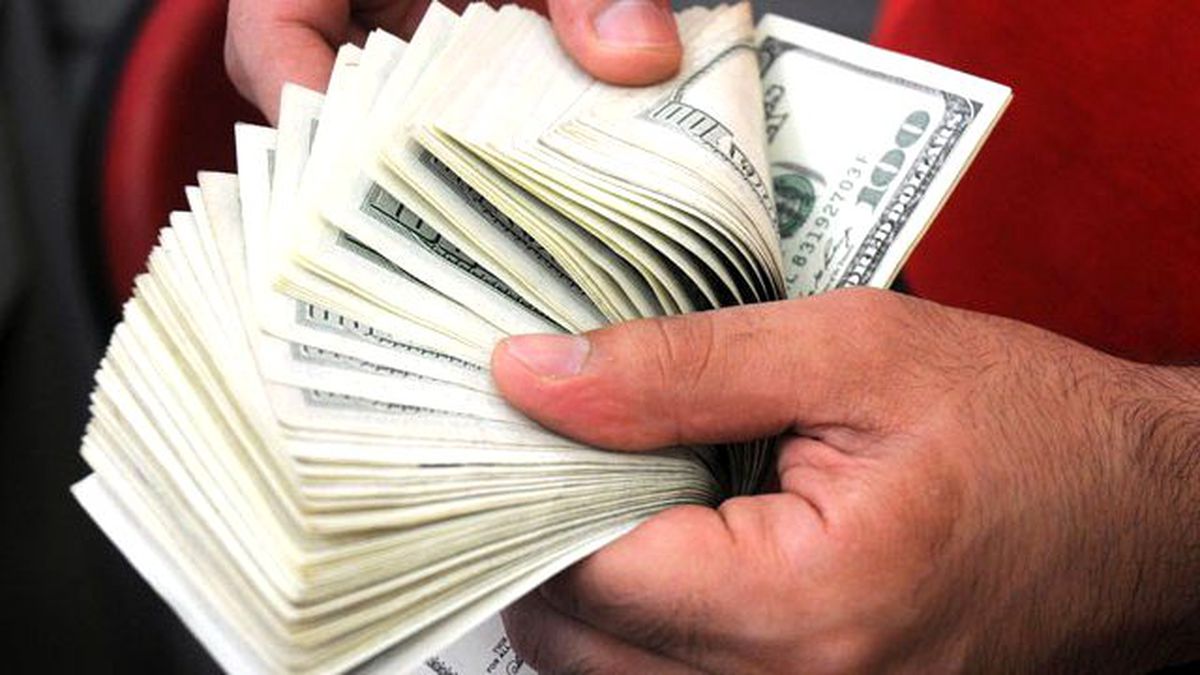 Roubini Economics: Dolar Türkiye'de 3.50 Lira Olabilir