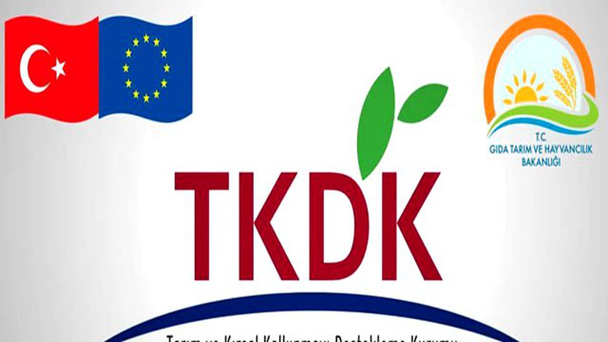 TKDK\'dan Yenilenebilir Enerjiye 65 Hibe