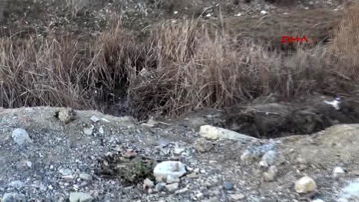 Tarsus Hurdacıyı Arkadaşları Öldürmüş