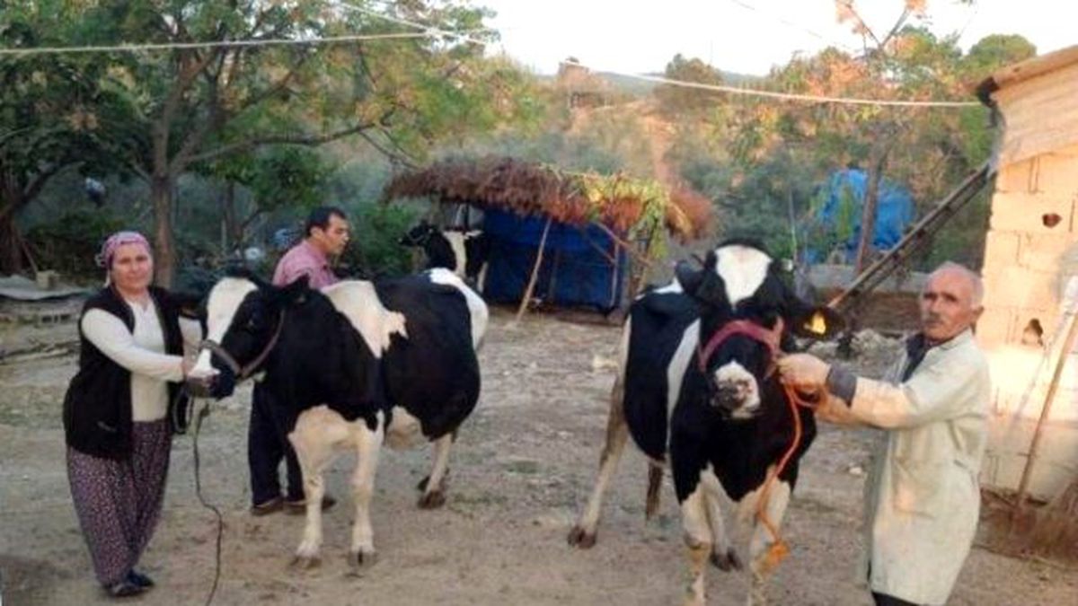Adana\'da 400 Çiftçi Aileye 2.5 Milyon Kredi Verildi