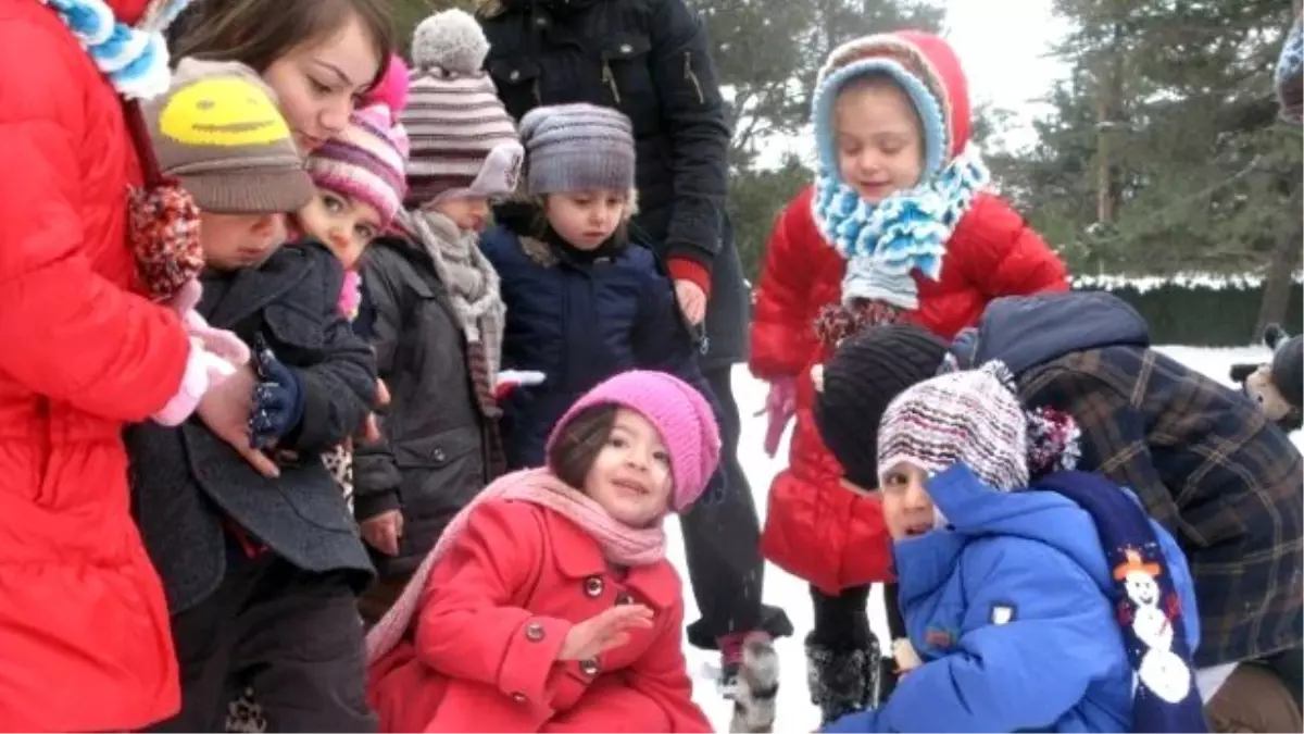 Çubuklular Tek Yürek Oldu, Yabana Can Verdi