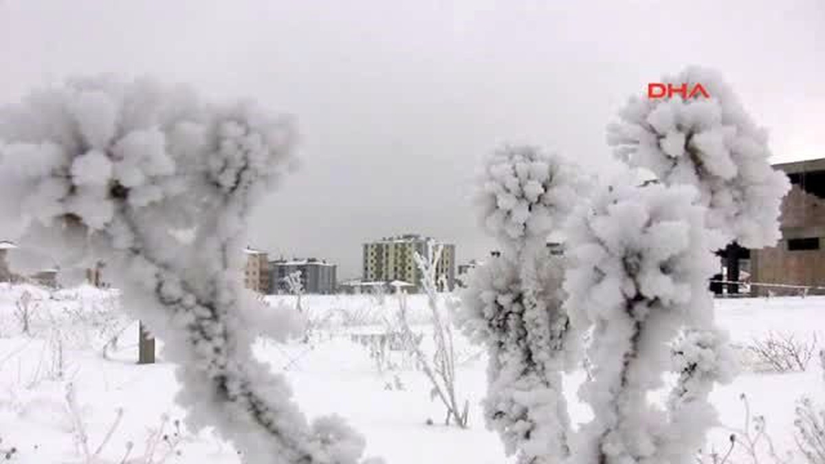 Erzurum Doğu\'yu Soğuklardan Kar Yağış Kurtaracak