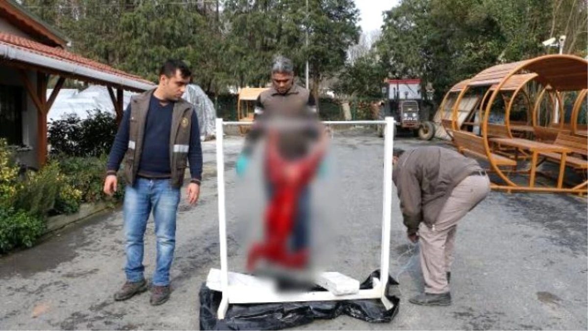 İstanbul\'un Karaca Katillerine İdari Para Cezası Verildi