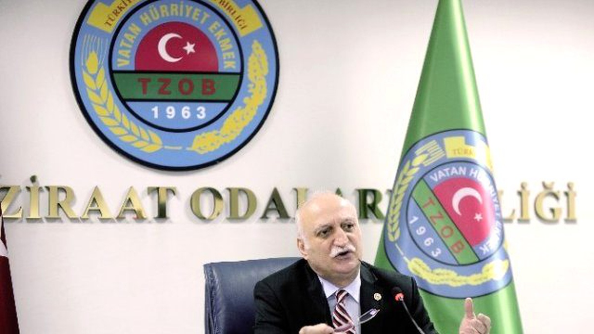 Ocak Ayında En Çok \'Maydanoz\' Mağdur Etti