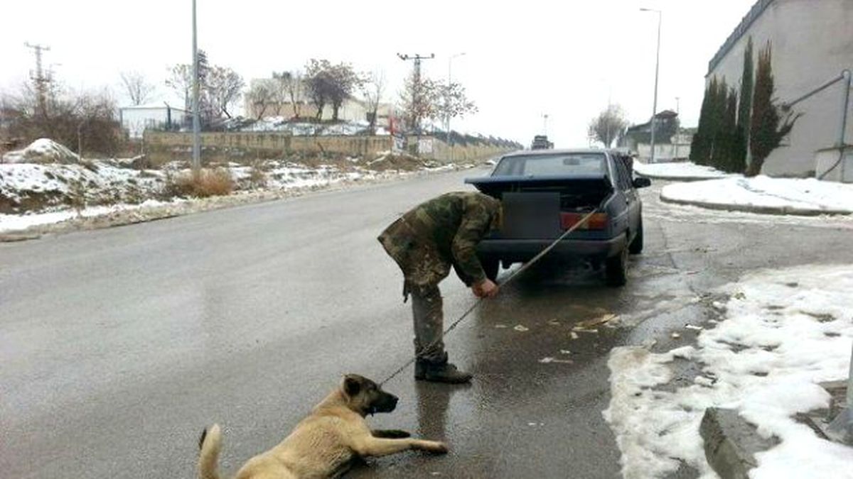 Otomobilinin Arkasına Bağladığı Köpeğini Sokak Sokak Sürükledi