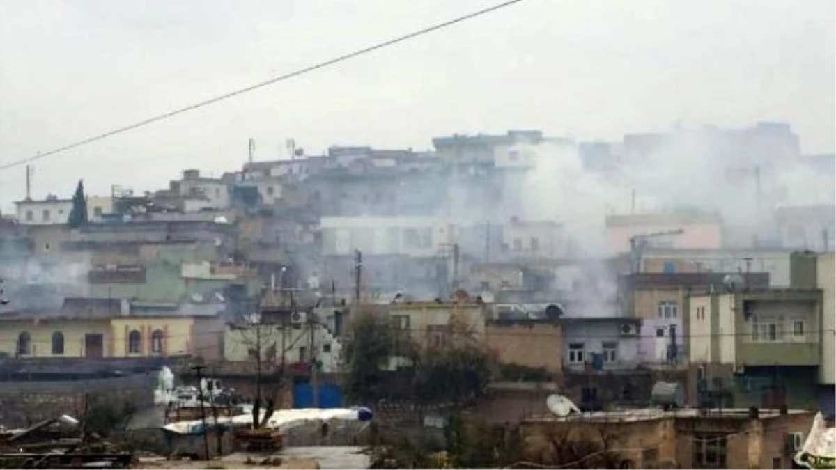 Cizre\'ye Yürümek İsteyen HDP\'lilere Polis Müdahalesi