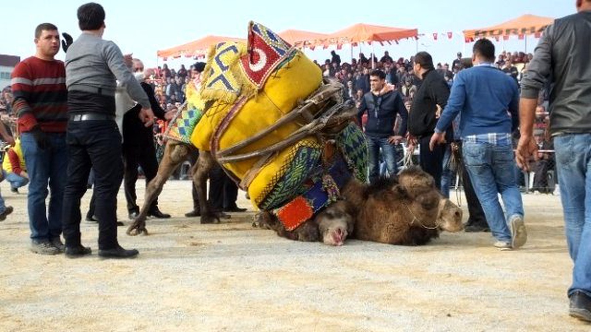 Fotoğraf Merakı Yüzünden Dünyayı Gezdi