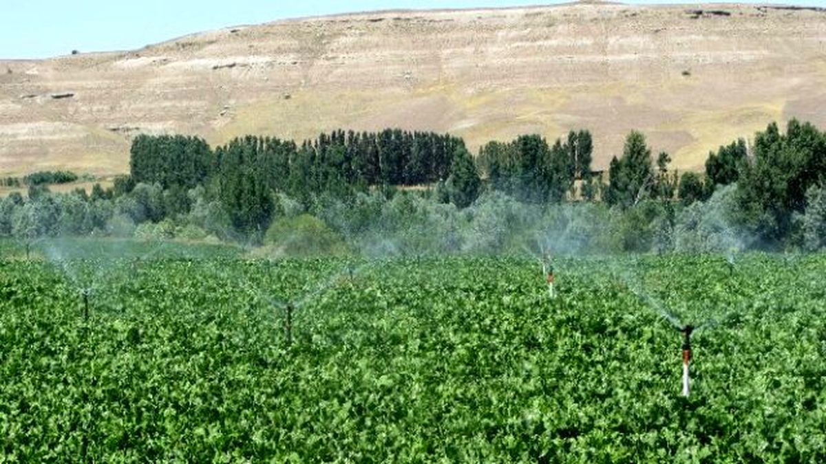 Sivas İl Özel İdaresi Tarım Sektörüne 55 Adet Proje Kazandırdı