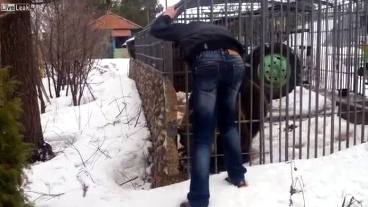 Ayıyı Taciz Eden Adam Bedelini Ağır Ödedi