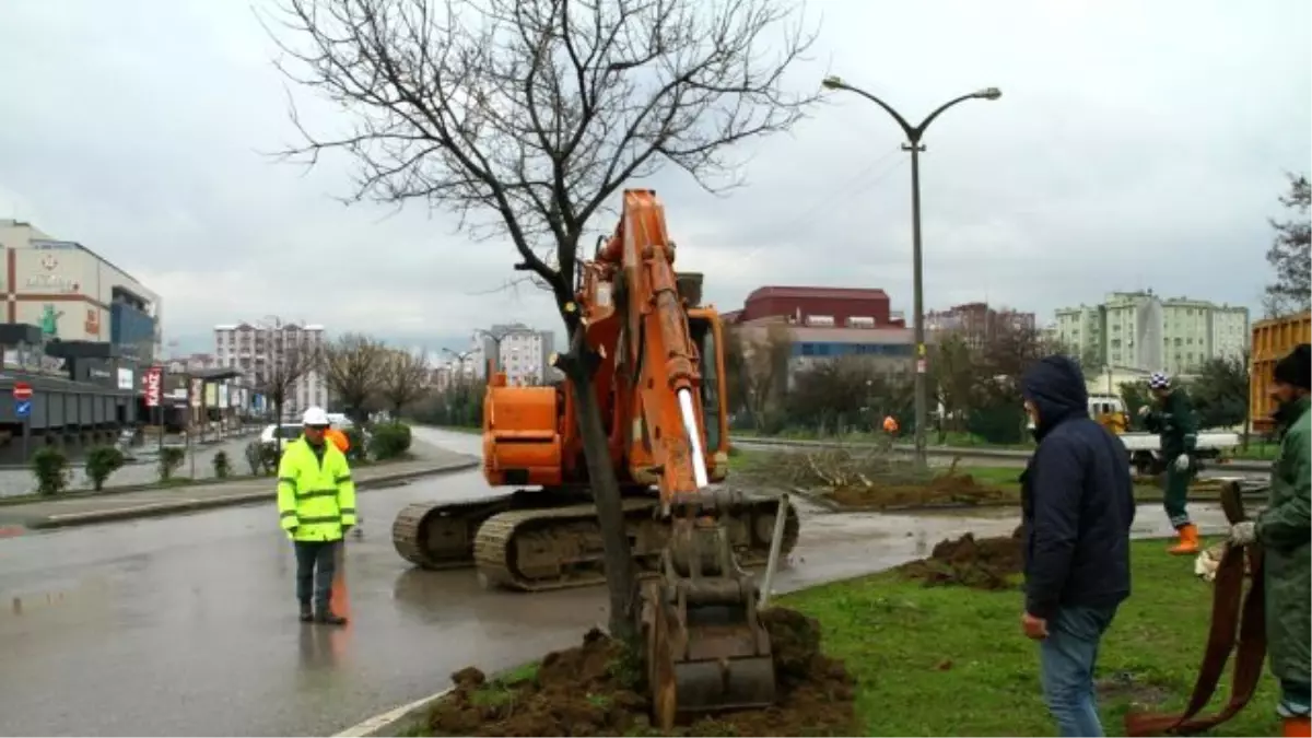 Ağaca Ve Yeşile Saygılı Büyükşehir