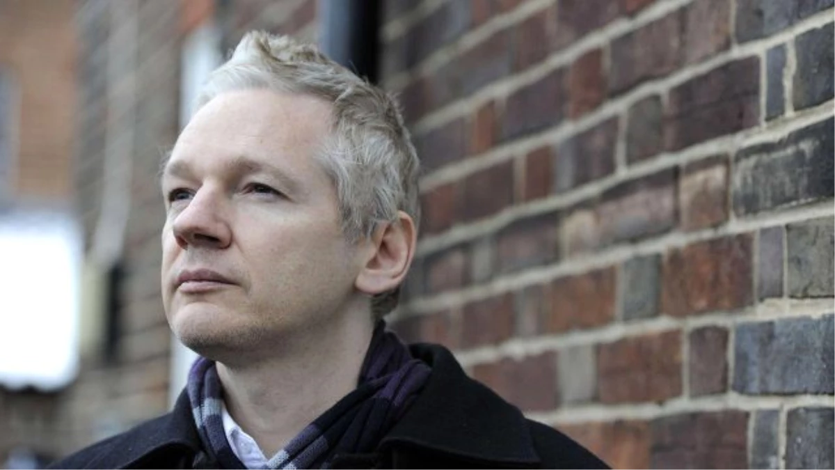 BM, Assange Hakkındaki Tutuklama Kararı Keyfi