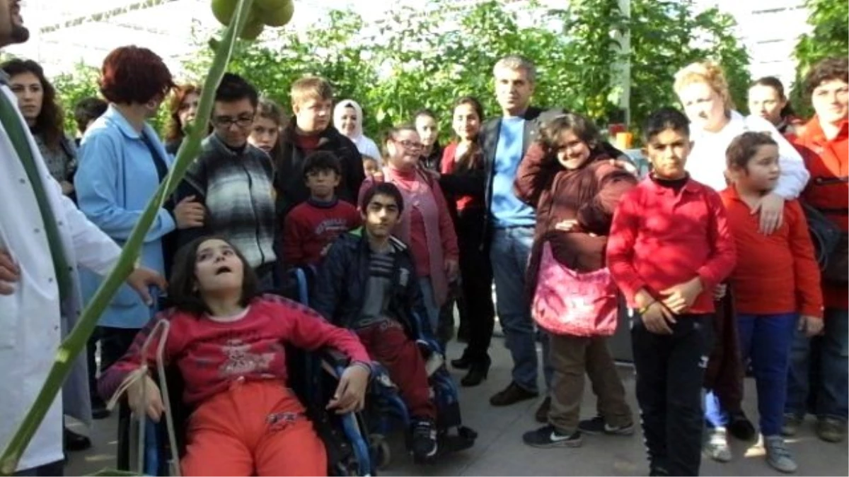 Burhaniye\'de Engelli Çocuklar Sera ile Tanıştı