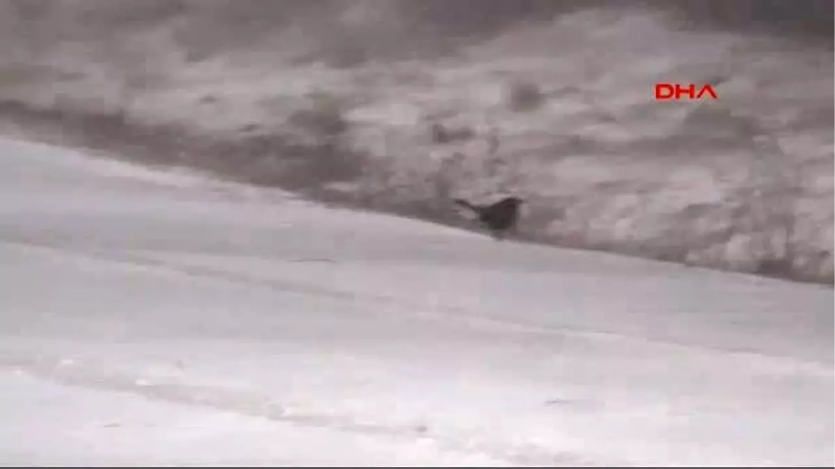 Çanakkale\'nin Yüksek Kesimlerinde Kar Etkili Oluyor