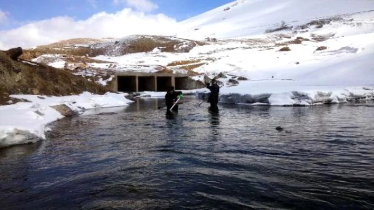 Dicle Nehri\'nin En Önemli Kolu Çatak Çayı\'nda Kirlilik Tehlikesi