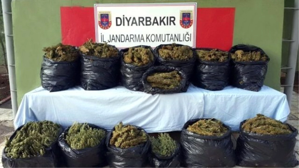 Diyarbakır\'da 134 Kilo Kubar Esrar Ele Geçirildi