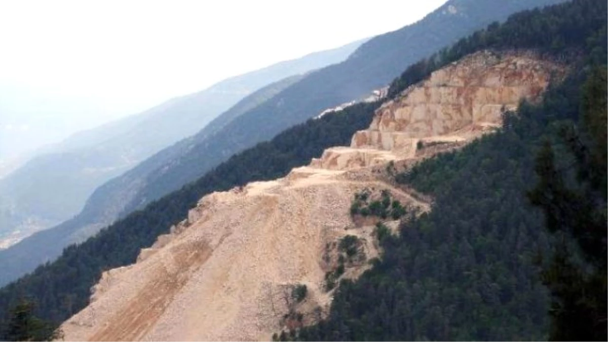 Taş Ocağı Katliamını Arılar Durduracak