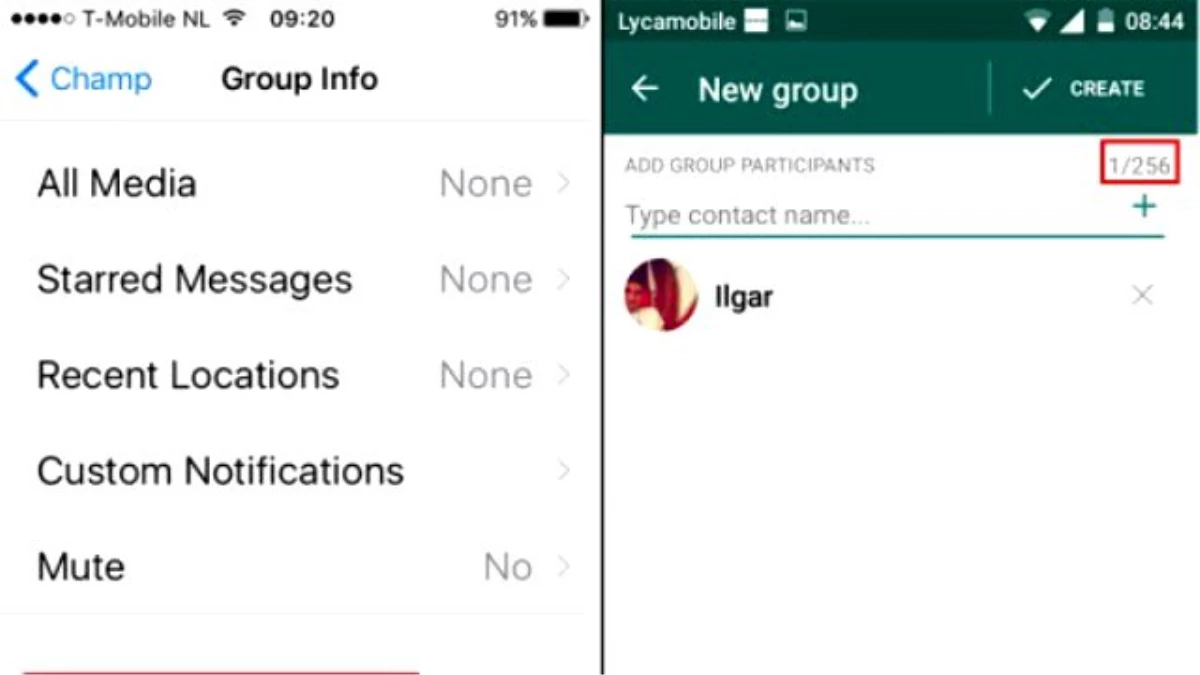 Whatsapp Grup Sohbetinde Önemli Artış