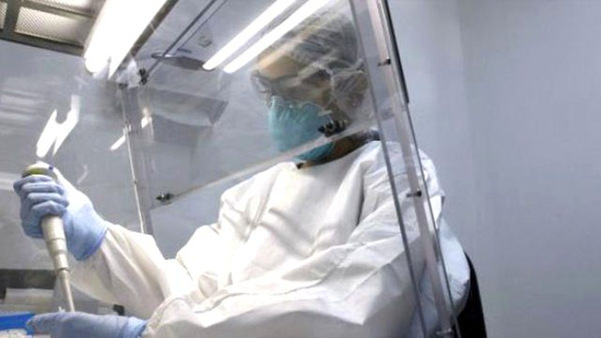 Zika virüsü \'büyük bir salgına dönüşebilir\'