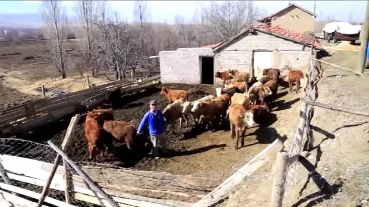 Hayvanlarının Kaybolduğunu Jandarmadan Öğrendi