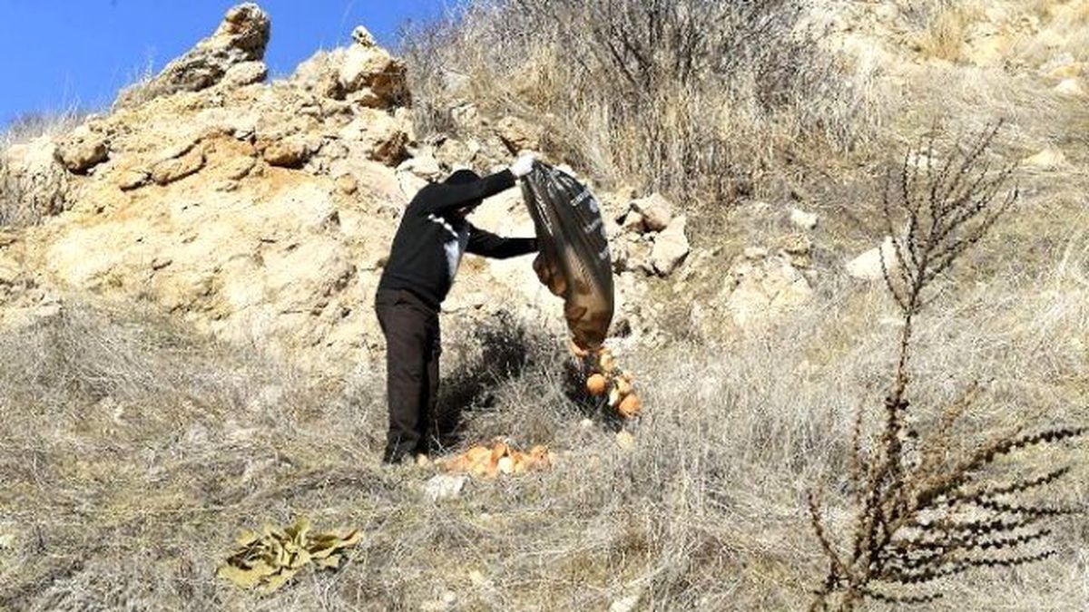 10 Bin Kilo Ekmek Çöpe Atmaktan Kurtarıldı
