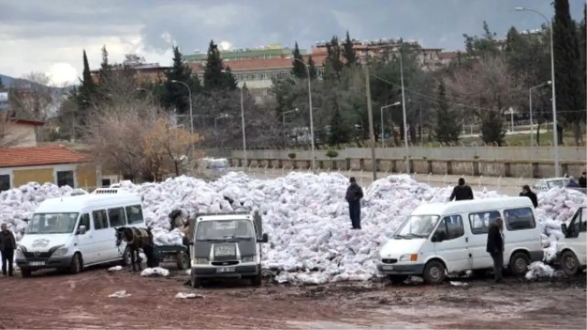 İslahiye\'de 2 Bin Aileye Kömür Dağıtılıyor