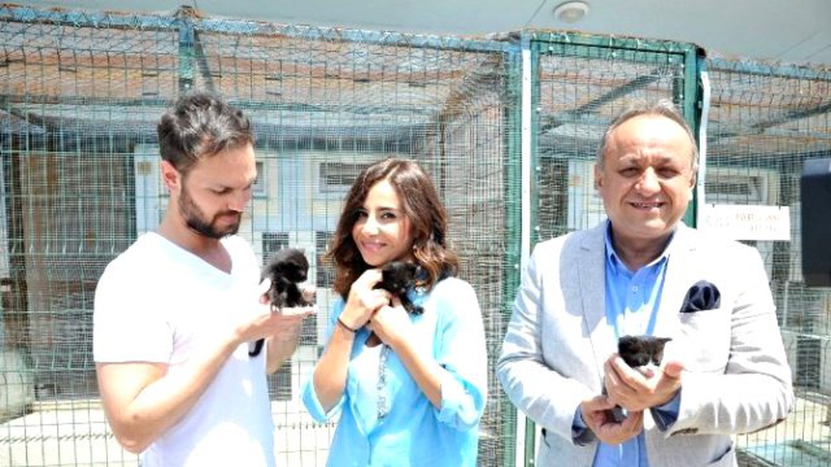 Kastamonu Belediyesi, Sokak Hayvanlarını Koruyor