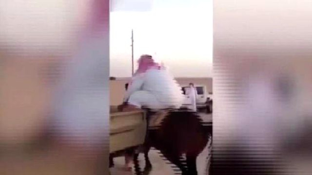 Aşırı Şişman Adamı At Bile Taşıyamadı