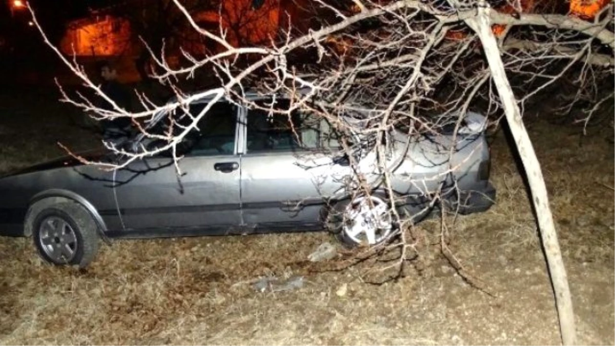 Malatya\'da Otomobil Bahçeye Uçtu: 1 Yaralı