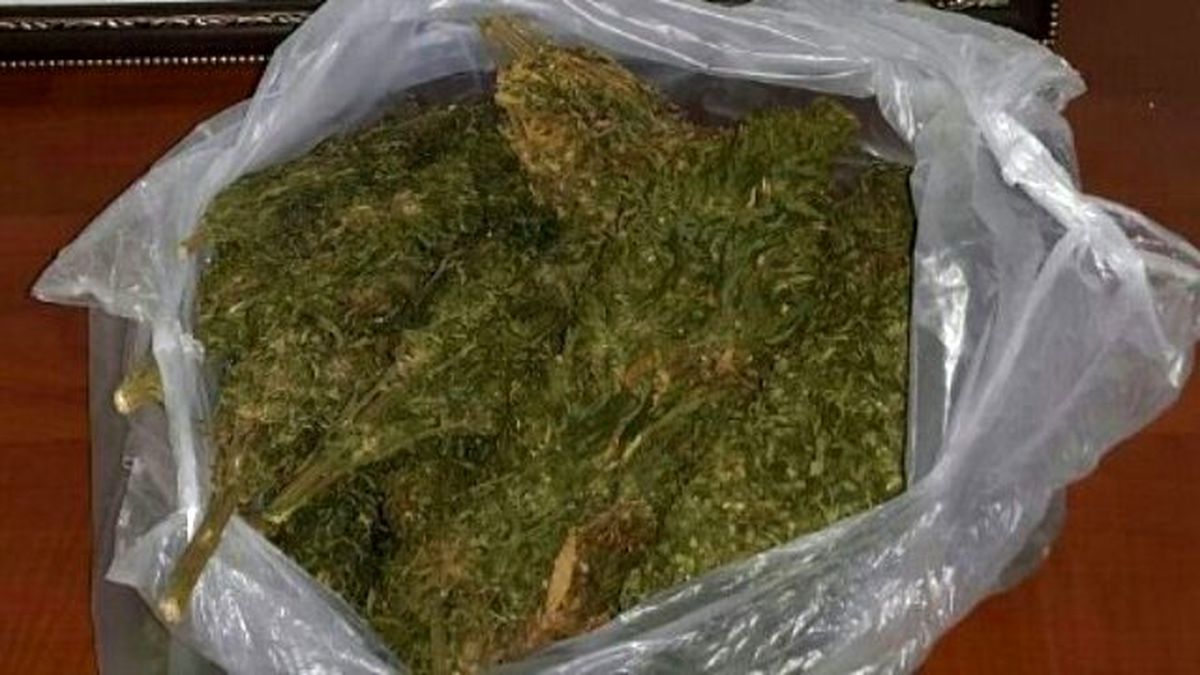 Otobüs Bagajındaki Valizde Uyuşturucu