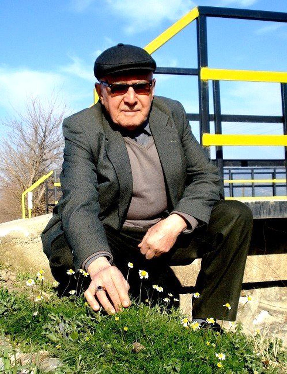 Sarıgöl\'de Şubat Ayında Papatyalar Açtı
