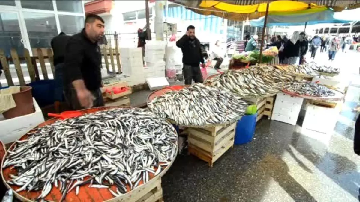 Balık Zehirledi" İddiası Tezgahları Vurdu