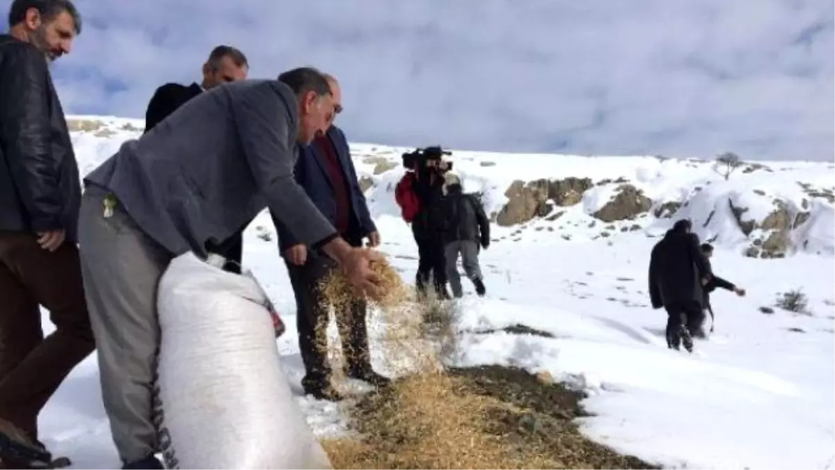 Elazığ\'da Yabani Hayvanları İçin Doğaya Yem Bıraktılar