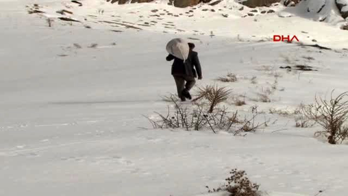 Elazığ\'da Yabani Hayvanları İçin Doğaya Yem Bıraktılar