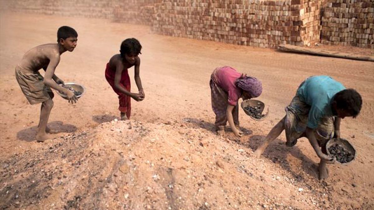 Haftada 12 Lira İçin Kömür Topluyorlar