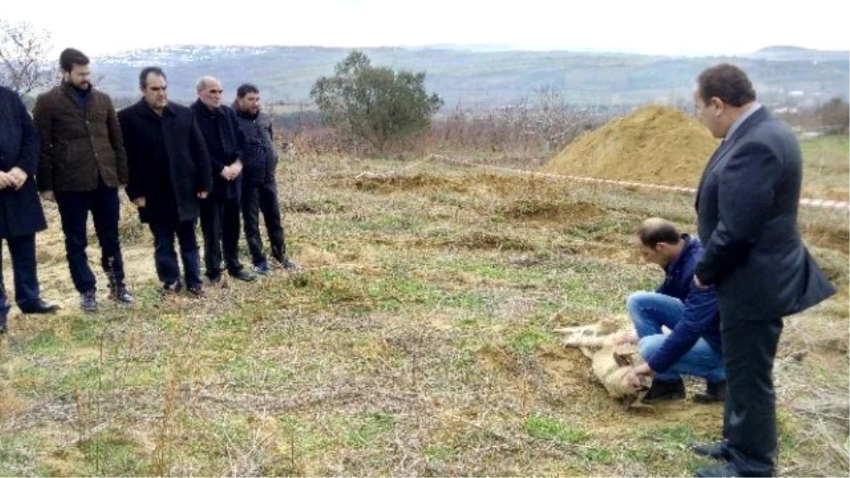 Lapseki İlçesinde İçme Suyu Depo İnşaatı Çalışmaları