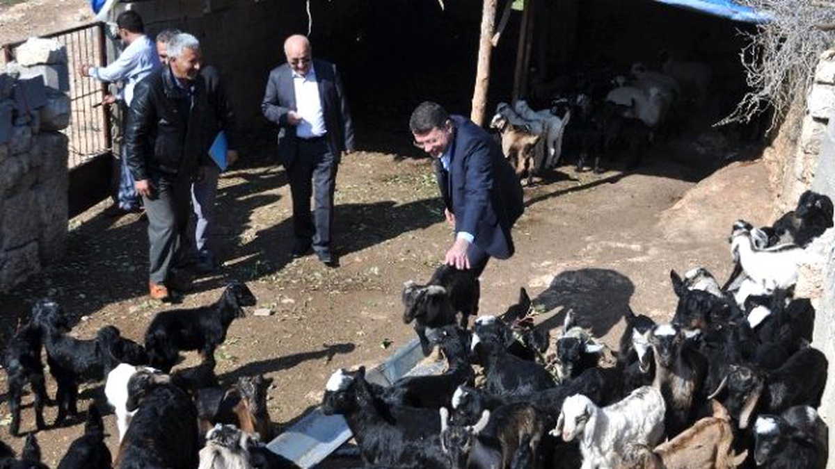 Turgut: "Vatandaşın Ayağına Gidip Sorunları Çözüyoruz"