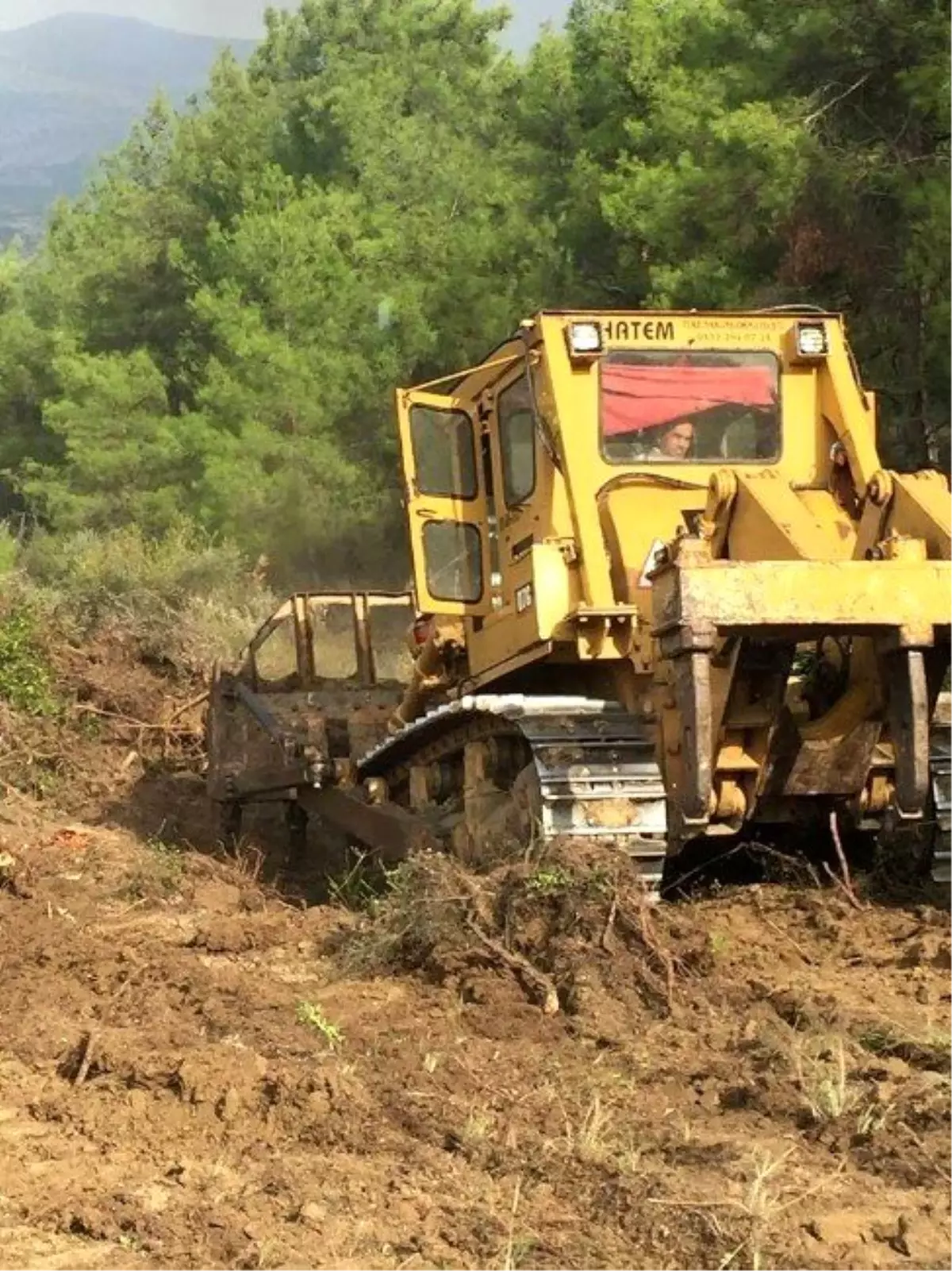 Uluçınar Köyü\'nde Endüstriyel Plantasyon Çalışmaları