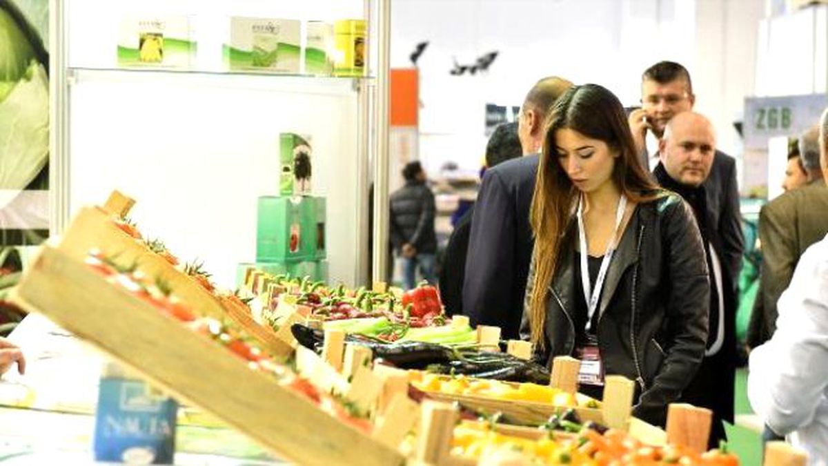 Bakan Çelik: Kırmızı Ette İthalat Yok