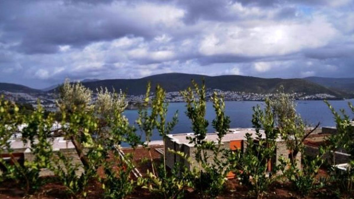 Bodrum Manzarasına Peyzaj Engeli