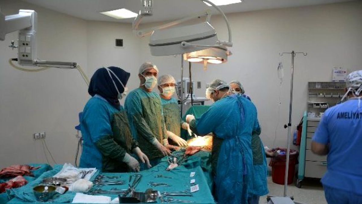 Karnından 20 Kilogramlık Ur Çıktı