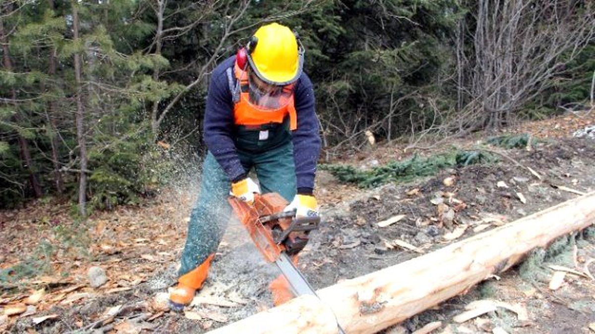Kastamonu Orman Bölge Müdürü Hüseyin Dinçer Açıklaması