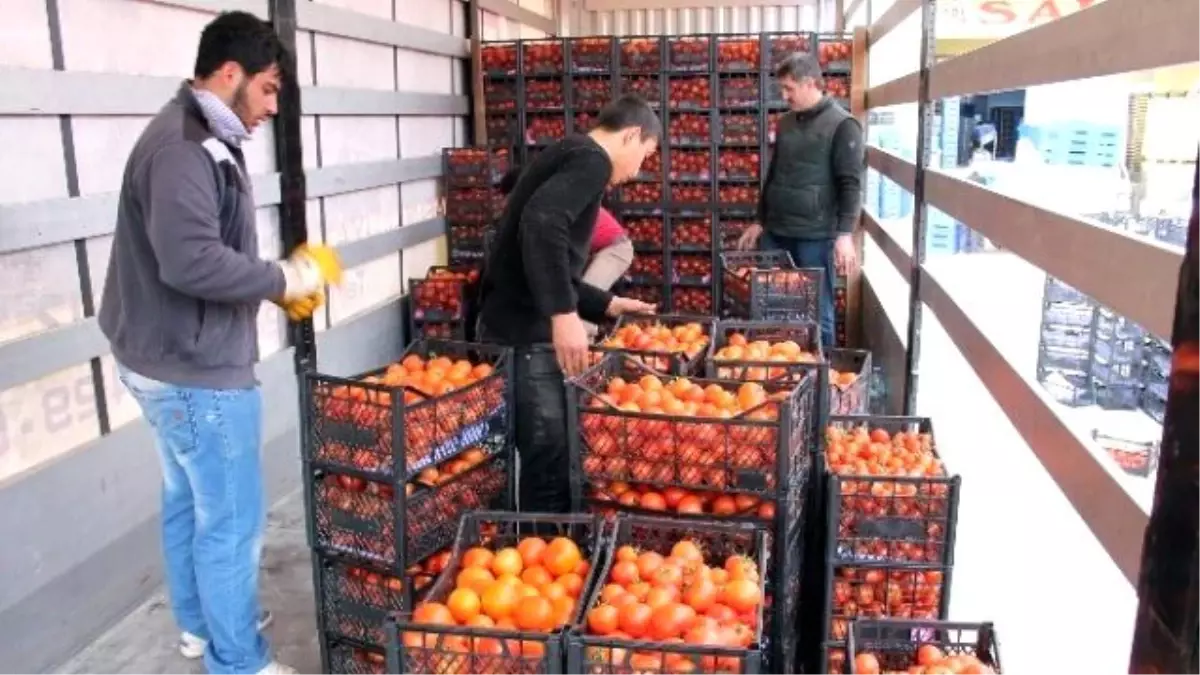 Kumluca\'dan Bayırsucak Türkmenlerine Gıda Yardımı