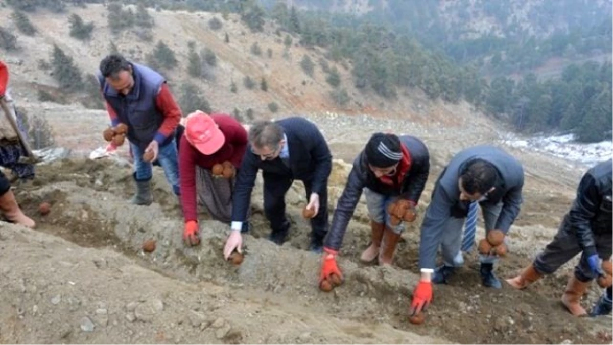 Mersin\'de Maden Sahaları Topalak Çamur Tohumlarla Yeşillendiriliyor