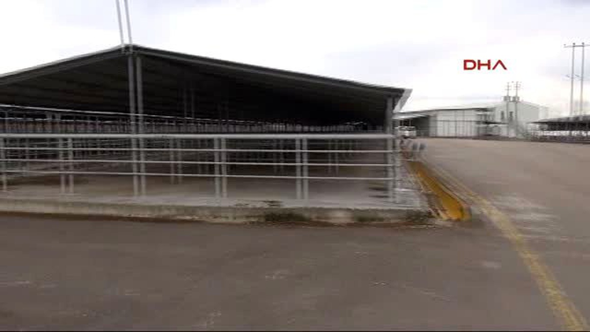 Bolu Tüberküloz, Hayvanlardan İnsana Geçen Bir Hastalıktır